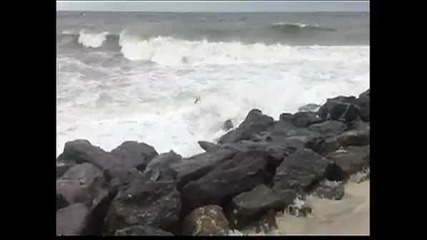 сърна се опитва да се спаси от огромните вълни на урагана санди