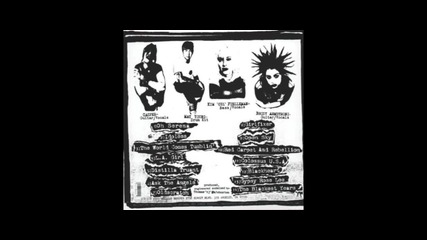 The Distillers - Discography - (3 Cd Albums)