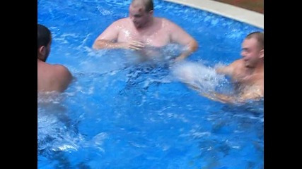 Сини китове срещу тюлен