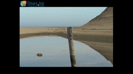 Строежите По Морето