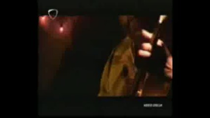 Zucchero и Tom Jones - Baila Morena- Sex Bomb