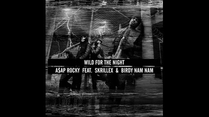 A$ap Rocky ft. Skrillex & Birdy Nam Nam - Wild For The Night