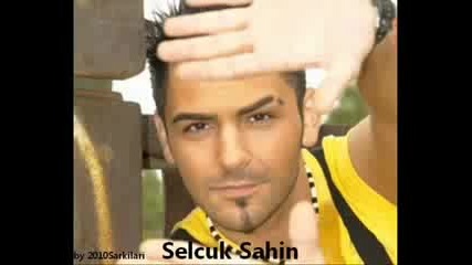 selcuk sahin 2010 yapaylnizim 