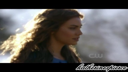 rose and damon