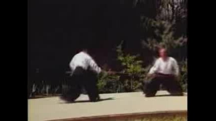 Shinkendo Aikido