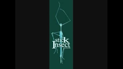 stick Insect - tarylychkite