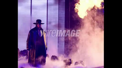Wrestlemania 25.wmv