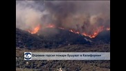 Огромни горски пожари бушуват близо до Лос Анджелис