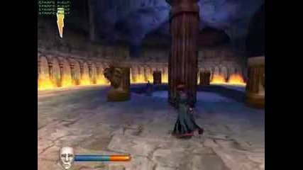 Harry Potter 1 Gameplay Final battle [pc]