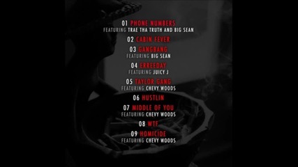 Wiz Khalifa - Taylor Gang (cabin Fever - Album)