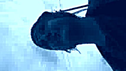 12-11-09_1448.3gp