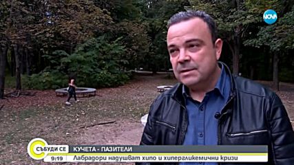 Обучават кучета да помагат на диабетици