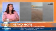 Черно море: Отдръпва ли се водата и на какво се дължи?