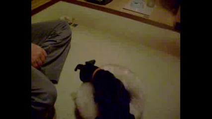 Charly 2