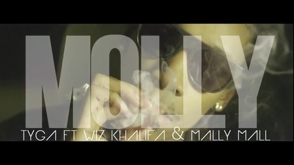 2®13 » Tyga - Molly ft Wiz Khalifa & Mally Mall (music Video)