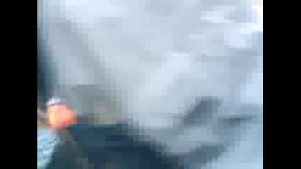 *rupci 2*