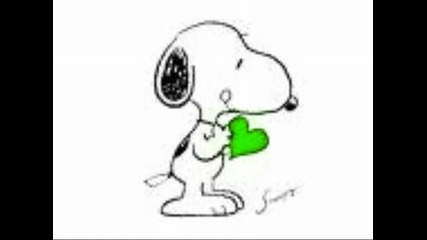 Picoveee - - Loveee :)