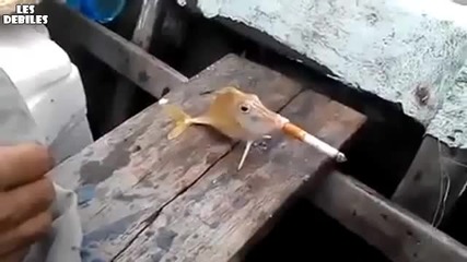 Риба пуши цигара!