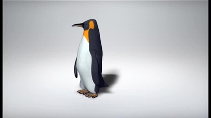 3d анимация пингвина
