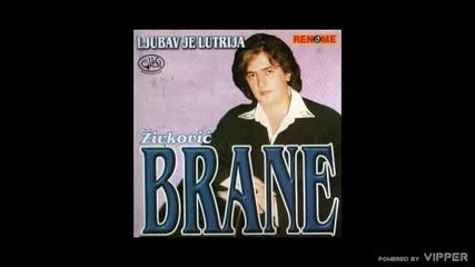 Brane Zivkovic - Idi ili ostani - (audio 2010)