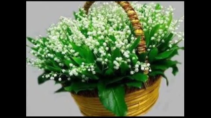 Димитър Цветков.песен за Никола