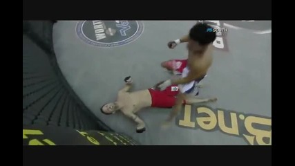 Mma - The Knockouts of 2010 - Vol.1