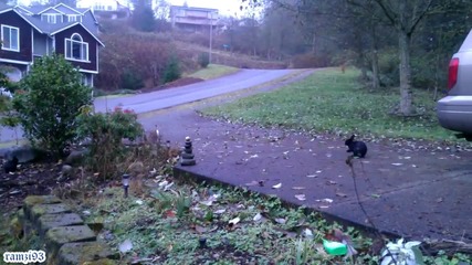 Htc Rezound 1080p Video Sample