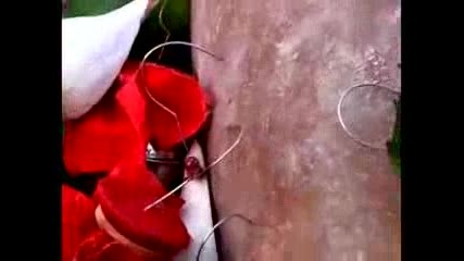 Индуски фестивал