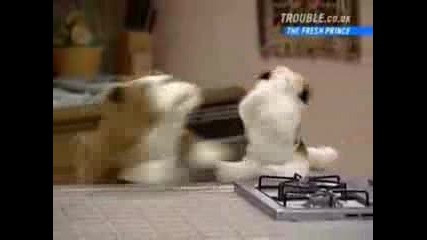 Will Smith Beatboxing