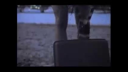 Helloween - Where The Rain Grows (1994) 