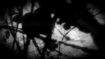 Bleach Amv- Erasus