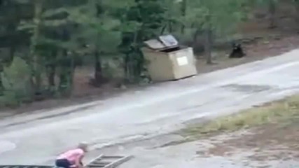 Спасяването на малките мечета!