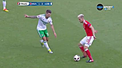 Уелс - Северна Ирландия 1:0 /репортаж/