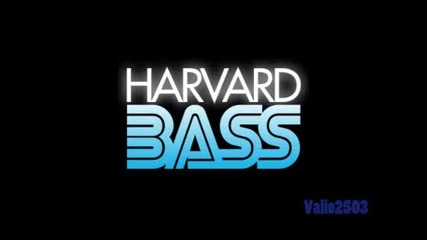 Competiton Bass - Stereo Bass (extreme Woofer Test)