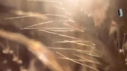 Ζαφείρης Μελάς - Θα 'μαι εγώ - аз ще съм ...