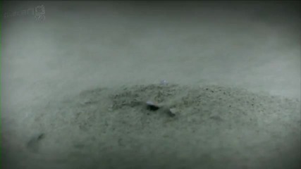 Kaskade - Angel On My Shoulder ( Official Video )