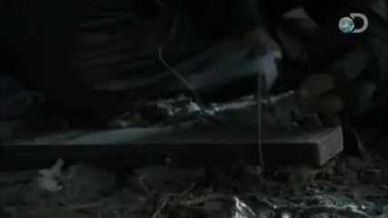 Man vs. Wild - Rat Trap Urban Survivor 
