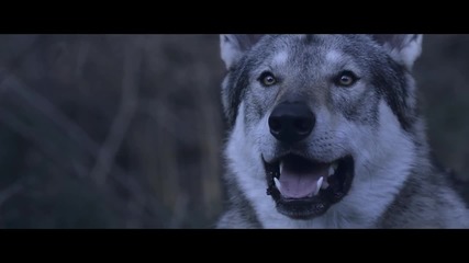Elvenking - Elvenlegions • 2o14 Official Music Video