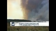 Пожар изпепели 2000 дка борова гора в община Банско