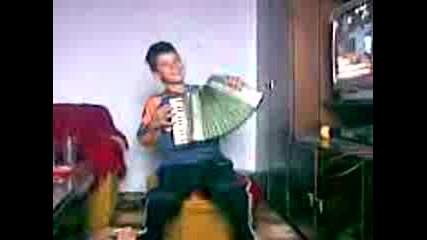 muzikant
