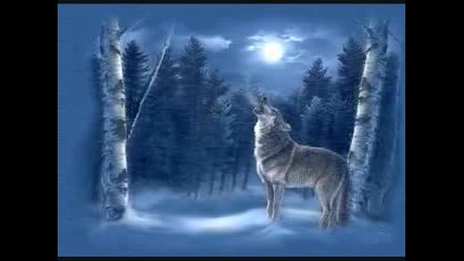 Wolfs - suddenly I see.flv