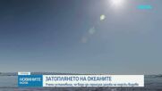 Проучване: Продължителното затопляне в океаните води до сериозна загуба на риба