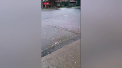 Дъжд наводни улици и дворове в Анево