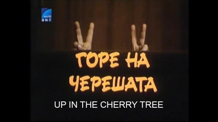 Горе На Черешата С Веселин Прахов (1984) Бг Аудио Част 1 Tv Rip Бнт Свят