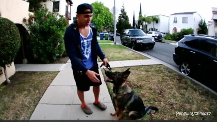 Carlos Cam Sydney-raye K-9 Detective 2013
