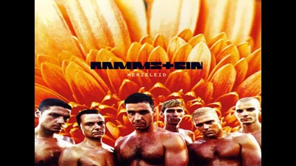 Rammstein- Laichzeit