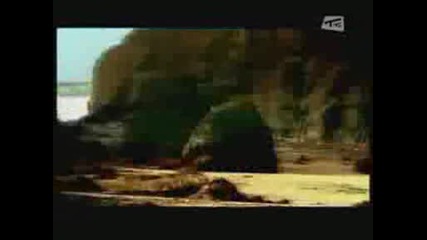 Delerium - Silence ft. Sarah Mclachlan