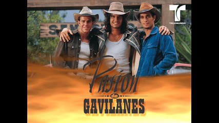 Pasion de gavilanes - Трима братя, три сестри