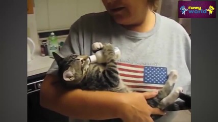 Компилация Смях !.. Funny Cats And Dogs Don't Want To Wake Up Compilation 2015