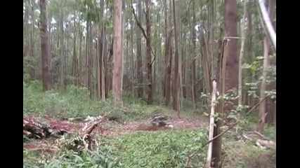 Insane Mountain Bike Crash